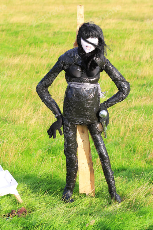 Preview: Pop Stars And Groups. Norland Scarecrow Festival 2Nd - 5Th September 2011. Held To Support The
