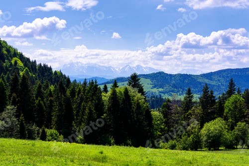 Preview: Spring Day In Pieniny National Park, Poland. Landscape Of Polish Mountains On A Warm And Sunny Day