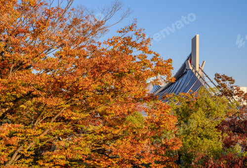 Preview: Autumn Landscape At Yoyogi Park Koen In Shibuya, Tokyo.