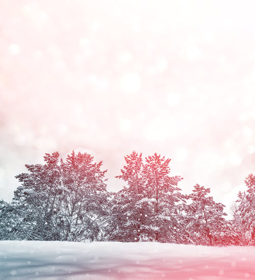 Preview: Frozen Winter Forest With Snow Covered Trees.