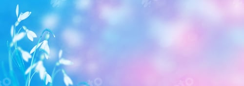 Preview: The First Delicate Spring Flower Snowdrop.