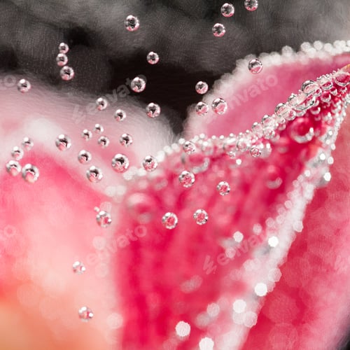 Preview: Abstract Underwater Composition With Blurry Orchid Petals, Bubbles And Light