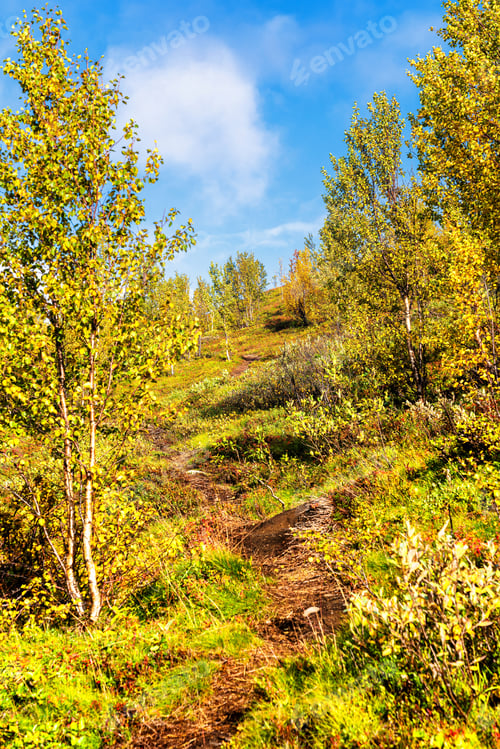 Preview: Autumn Colors In Norwegian Mountains, Troms Finnmark, Norway