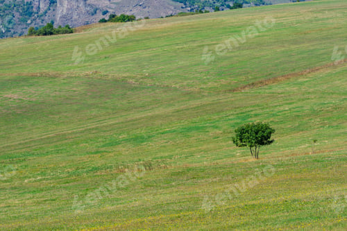 Preview: Beautiful Panoramic View With Alone Tree In The Field, Armenia