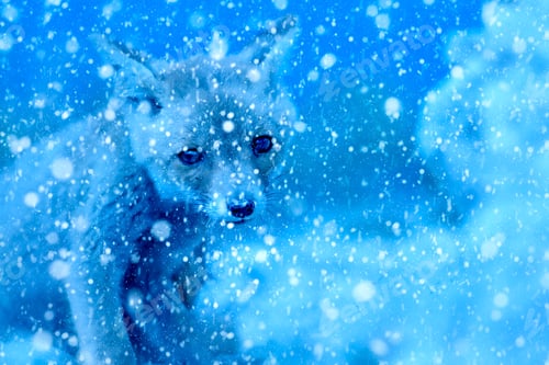 Preview: Winter Season And Animals. Falling Snow. Blue Nature Background. Fox.
