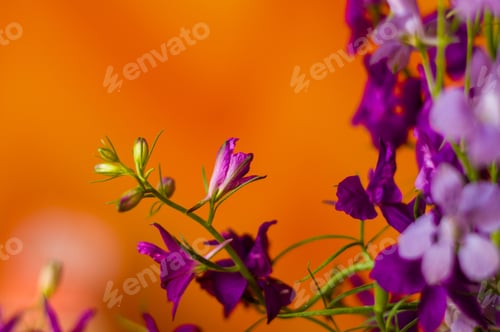 Preview: A Bouquet Of Bright Spring Flowers Of Various Types