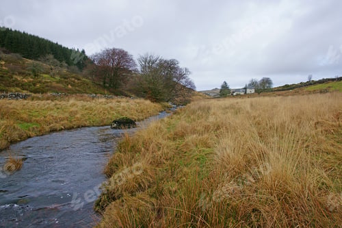 Preview: The West Dart River, Bounded By Trees And Meadows As It Flows Through The West Dart Valley On A