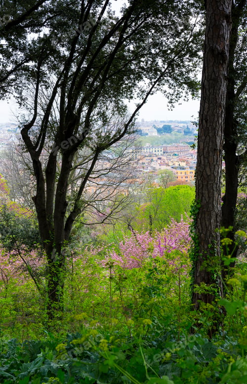 Preview: Trastevere Neighbourhood From Gianicolo Hill In Rome City Of Italy In Europe