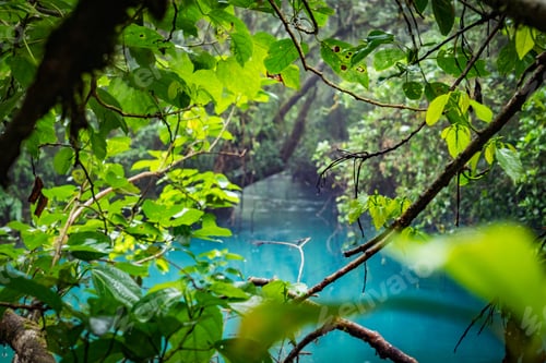 Preview: Rio Celeste A Blue Volcanic River Views Around Costa Rica - Central America