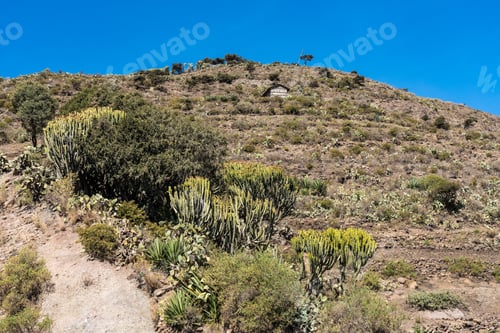 Preview: Landscape In Gheralta In Tigray, Northern Ethiopia.