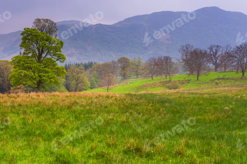 Preview: Landscape In The Lake District National Park, Cumbria, England, United Kingdom