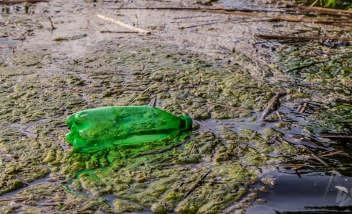 Preview: Old Used Plastic Bottles On The Mississippi River