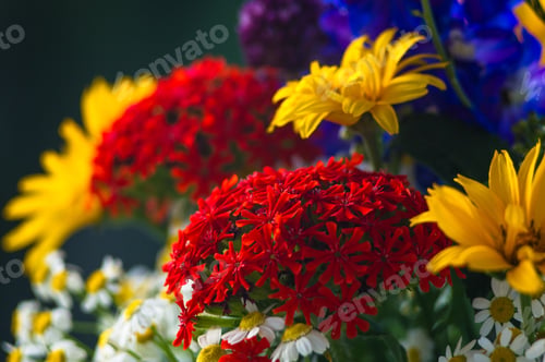 Preview: A Bouquet Of Bright Spring Flowers Of Various Types