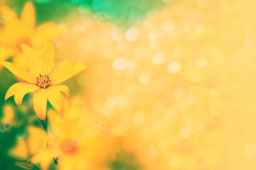 Preview: Colorful Dahlia Flowers On A Background Of The Autumn Landscape. Nature
