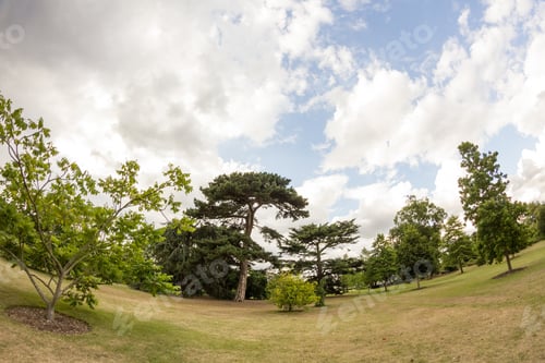 Preview: View From Kew Gardens, Royal Botanical Gardens In London. Fish Eye Lens Effects