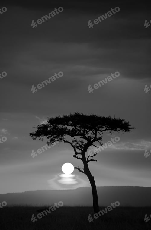 Preview: Sunset At Masai Mara, Kenya