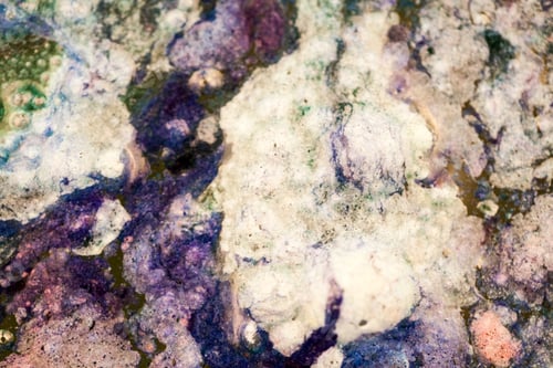 Preview: Abstract Composition With Mix Of Oil, Water And Colorful Ink. Pollution Concept