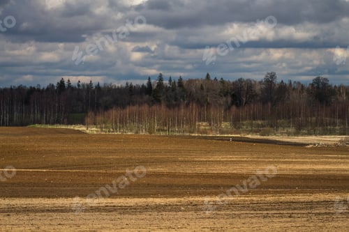 Preview: Processed Cereal Fields In Spring