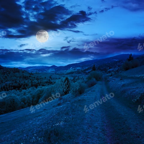 Preview: Summer Landscape. Meadow Path On The Hillside. Forest In Fog On The Mountain At Night In Moon Light