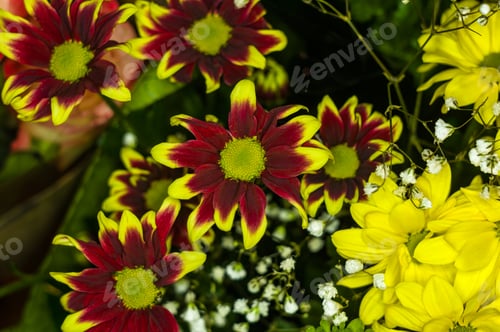 Preview: Beautiful Gift Bouquet Of Various Colorful Decorative Summer Flowers