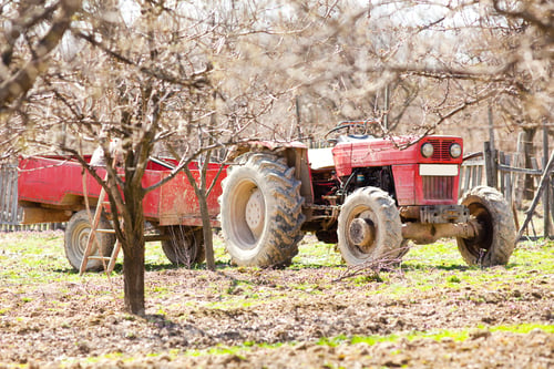 Preview: Old Red Tractor With Trailer In An Orchard