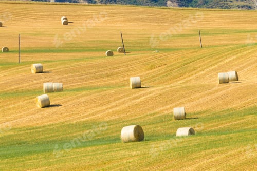Preview: Tuscany Hills Landscape, Italy. Rural Italian Panorama.