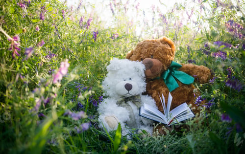 Preview: Couple Of Cute Teddy Bears In Love On A Sunny Summer Meadow