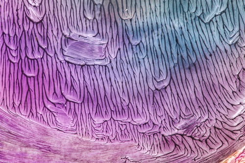 Preview: Hand Drawn Gouache Painting. Abstract Art Background. Color Texture.