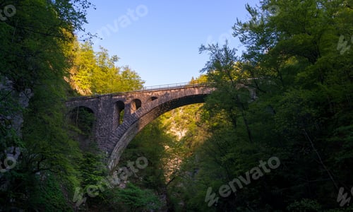Preview: Spring In Vintgar Gorge In Slovenia