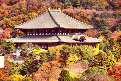 Preview: Todaiji Temple And Autumn Leaves In Nara, Japan. Retro Filtered Colors Style.
