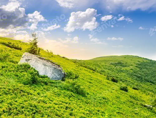 Preview: Lonely Conifer Tree And Stone On The Hillside Of High Mountain Range In Morning Light