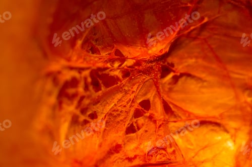 Preview: Amazing View Of The Cut Orange Pumpkin From The Inside, Close-Up