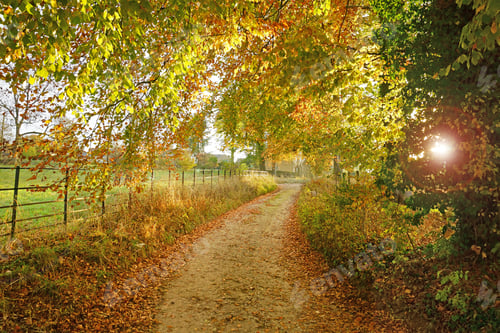 Preview: A Narrow Country Track In Early Morning Sunlight, With Deliberate Lens Flare, In Autumn In The