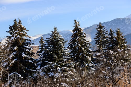 Vorschau: Winterlandschaft
