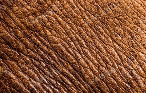 Preview: Old Vintage Genuine Soft Brown Leather Texture Background, Top Layer With Pores And Scratches