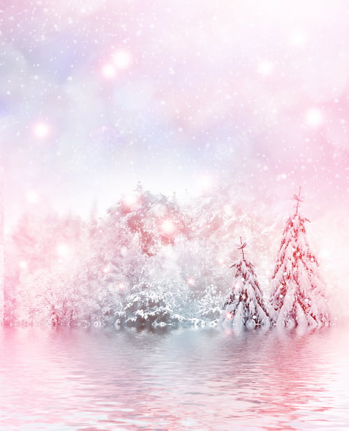 Preview: Frozen Winter Forest With Snow Covered Trees. Christmas Card.