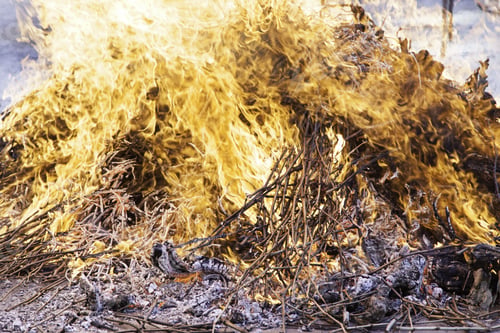 Preview: Fire Wood Embers, Detail Of A Fire To Grill