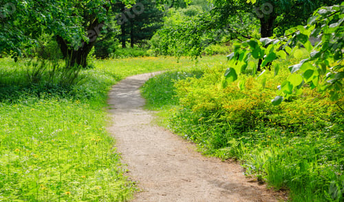 Preview: Beautiful Summer Landscape With Meadow Grasses, Trees And Flowers. Sunny Summer Morning In The