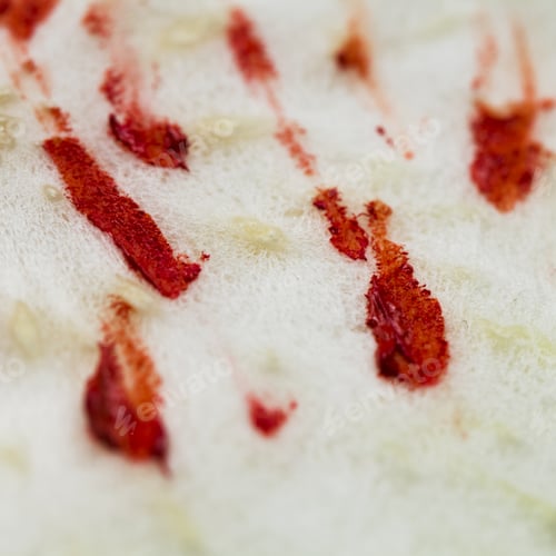 Preview: Shaddock Peel With Red Oil Paint - Abstract And Texture