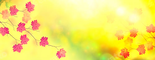 Preview: Autumn Landscape With Bright Colorful Leaves. Indian Summer.