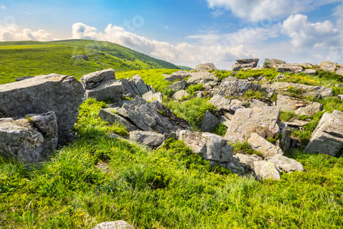 Preview: White Sharp Boulders On The Grassy Meadow With Some Dandelions On The Edge Of High Mountain Range
