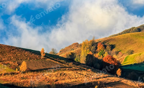Preview: Mountain Rural Area In Autumn Season. Agricultural Field In Fog On A Hill. Beautiful And Vivid
