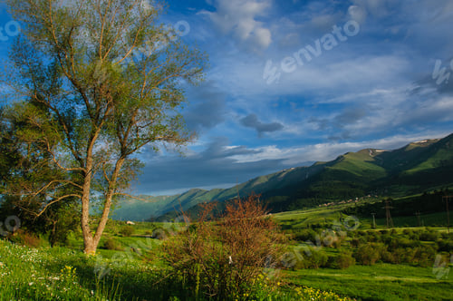 Preview: Scenic Landscape
