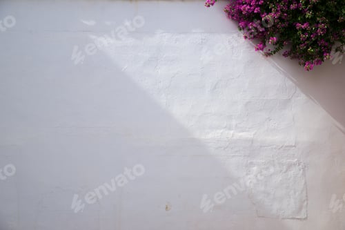 Preview: Old Wall Detail In Cordoba Old Town In Spain.