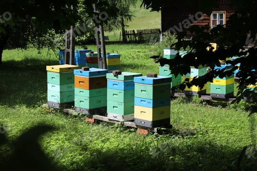 Preview: Small Local Farm Near Zywiec, Poland. Colorful Bee Hives.