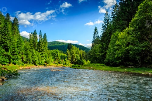 Preview: Amazing Blue And Crystal Clear Water In Mountain River Among Spruce Forest