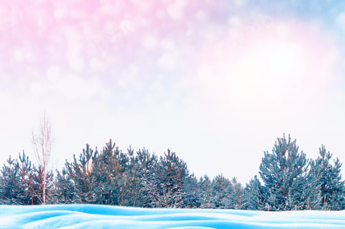 Preview: Frozen Winter Forest With Snow Covered Trees. Outdoor