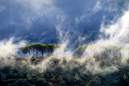 Preview: The Landscape Around The Village Of Ronda In Andalusia, Spain.