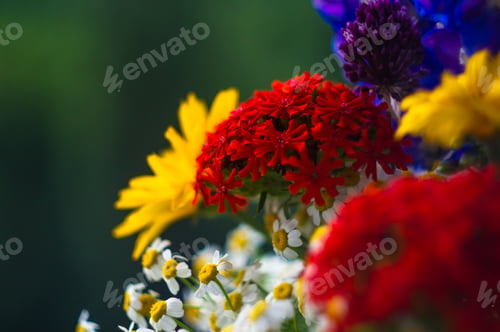 Preview: A Bouquet Of Bright Spring Flowers Of Various Types