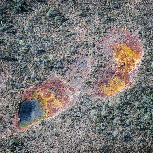 Preview: Aerial View Over The Swamp